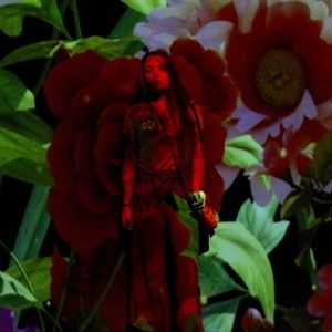 Meet your Posher, Elery